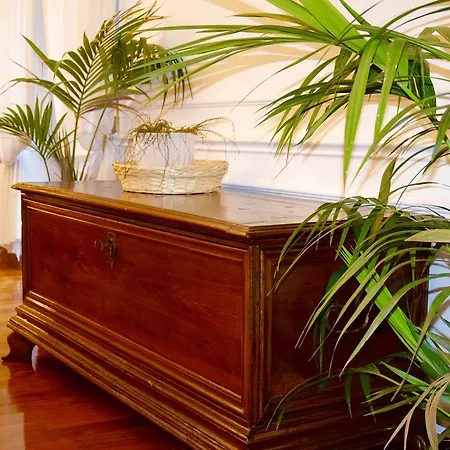 Gasthuis Ball Loc 04163 Verona